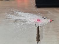 WhatsApp Bild 2025-09-18 um 11.31.15_abe91511.jpg